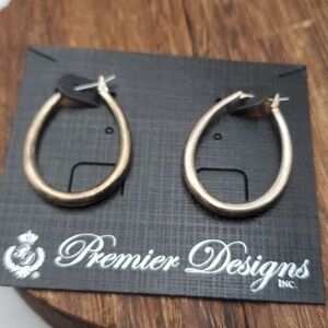 E338‎ premier designs hoop new nwt earrings